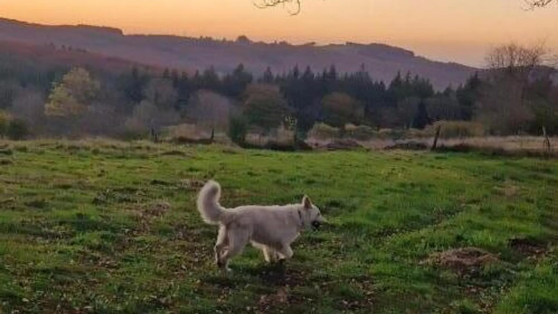Evasion Paisible A La Montagne Avec Cheminee Et Animaux Admis - Fr-1-489-553 Villa Saint-Nicolas-des-Biefs 0*,  France